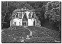 100_2654 copie